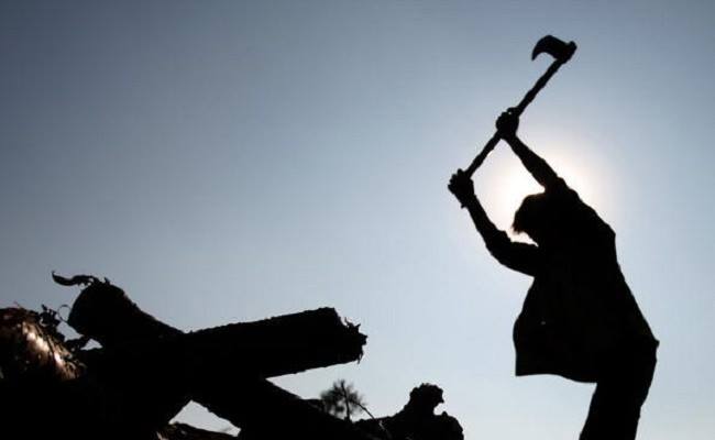 TRUYỆN VỀ NGƯỜI TIỀU PHU & HỌC GIẢ